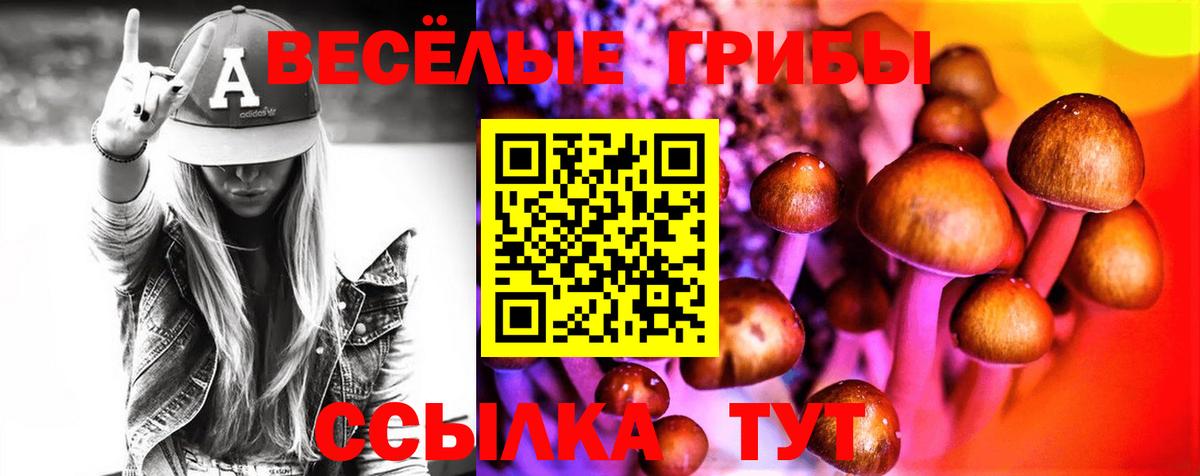 Галлюциногенные грибы Psilocybine cubensis Тверь