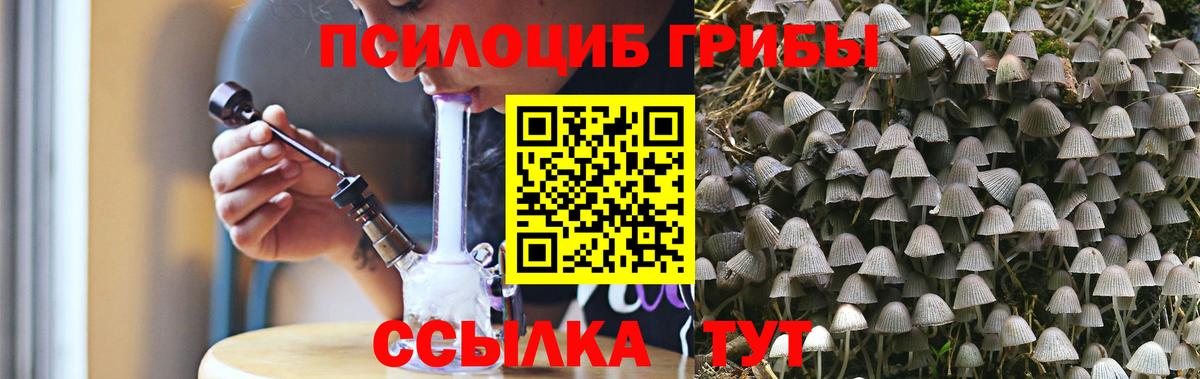 магазин  наркотиков  Галлюциногенные грибы MAGIC MUSHROOMS  Вход с VPN  Галлюциногенные грибы MAGIC MUSHROOMS  Тверь 